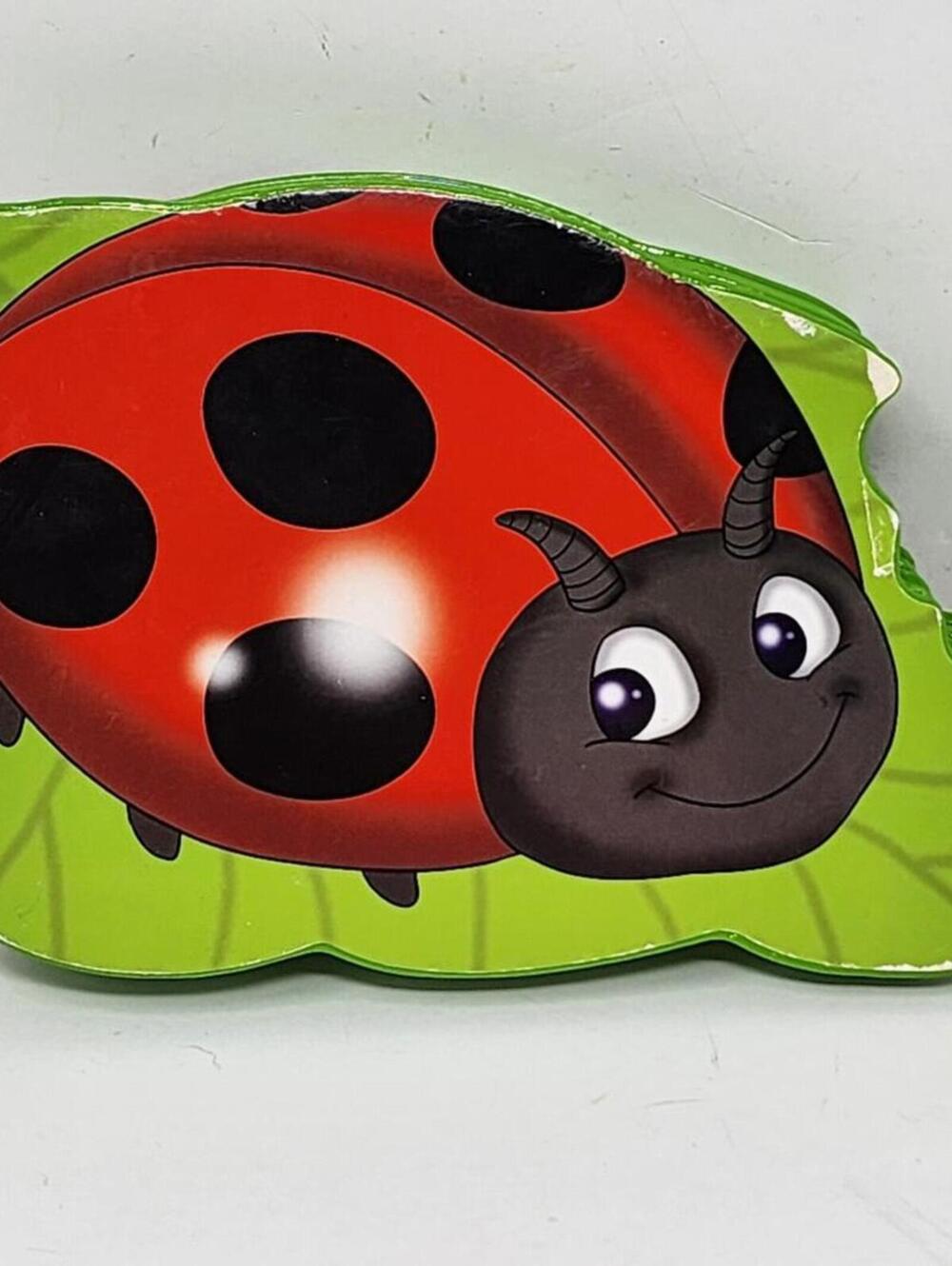 Board Book - Kids Book - Ladybug Storybook